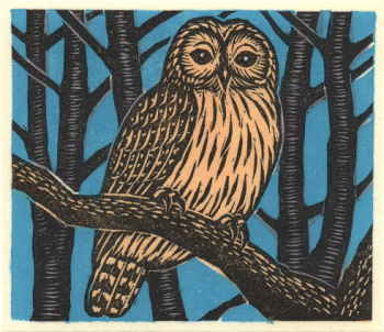 ��8804 �ӂ��낤